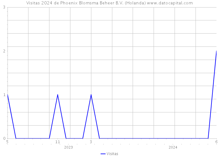 Visitas 2024 de Phoenix Blomsma Beheer B.V. (Holanda) 