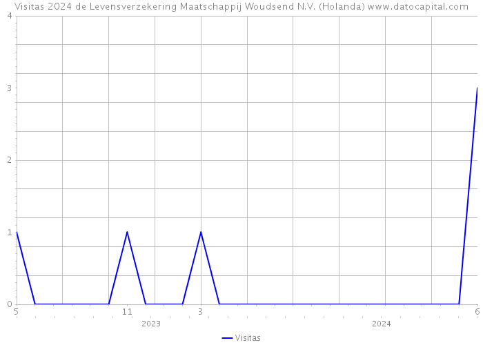 Visitas 2024 de Levensverzekering Maatschappij Woudsend N.V. (Holanda) 