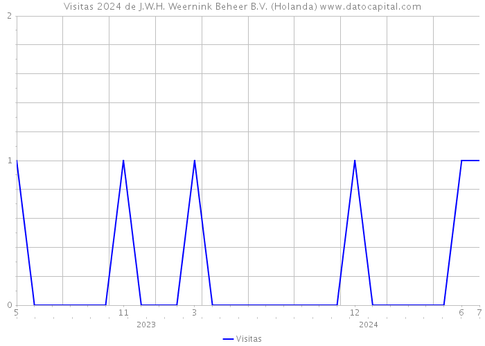 Visitas 2024 de J.W.H. Weernink Beheer B.V. (Holanda) 