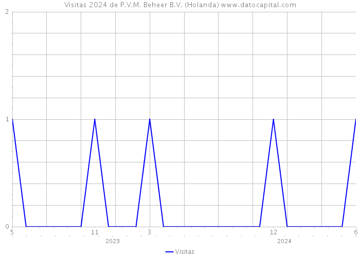 Visitas 2024 de P.V.M. Beheer B.V. (Holanda) 