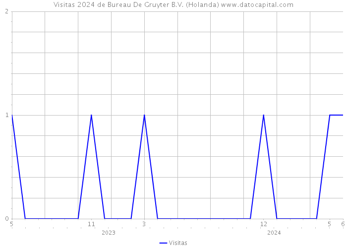 Visitas 2024 de Bureau De Gruyter B.V. (Holanda) 