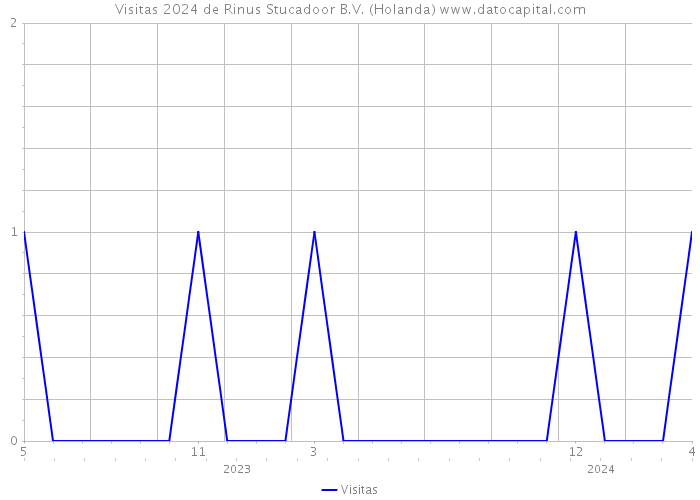 Visitas 2024 de Rinus Stucadoor B.V. (Holanda) 