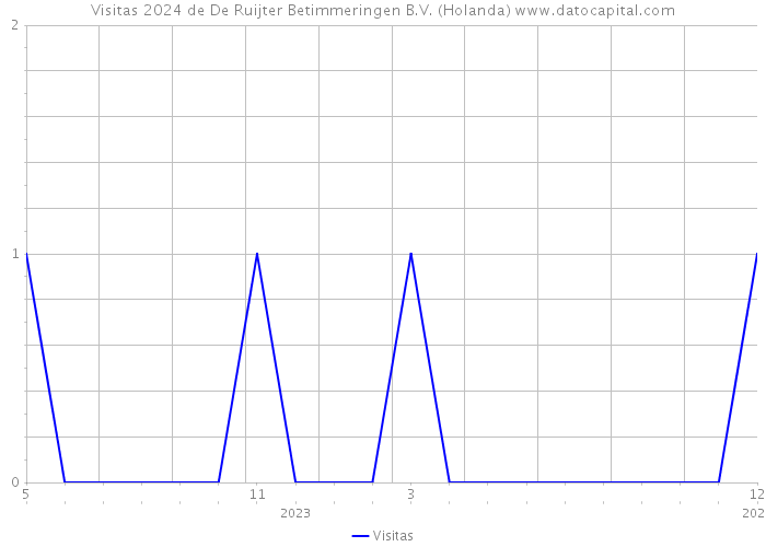 Visitas 2024 de De Ruijter Betimmeringen B.V. (Holanda) 