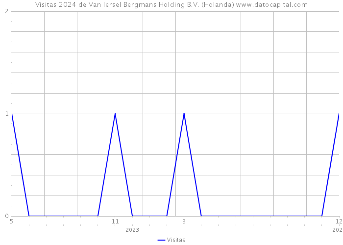 Visitas 2024 de Van Iersel Bergmans Holding B.V. (Holanda) 