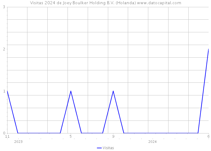 Visitas 2024 de Joey Boulker Holding B.V. (Holanda) 