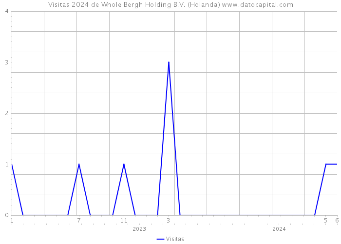 Visitas 2024 de Whole Bergh Holding B.V. (Holanda) 