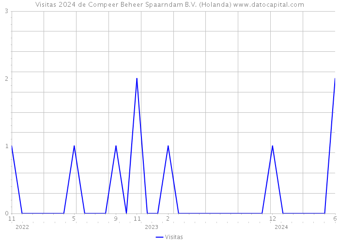 Visitas 2024 de Compeer Beheer Spaarndam B.V. (Holanda) 