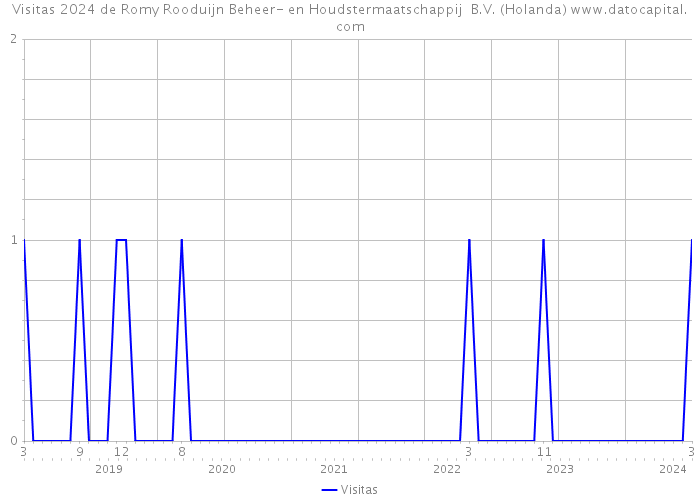 Visitas 2024 de Romy Rooduijn Beheer- en Houdstermaatschappij B.V. (Holanda) 