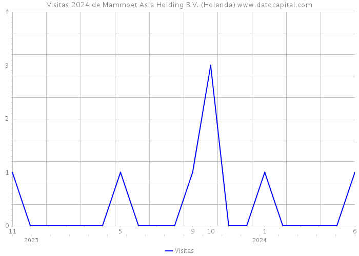 Visitas 2024 de Mammoet Asia Holding B.V. (Holanda) 