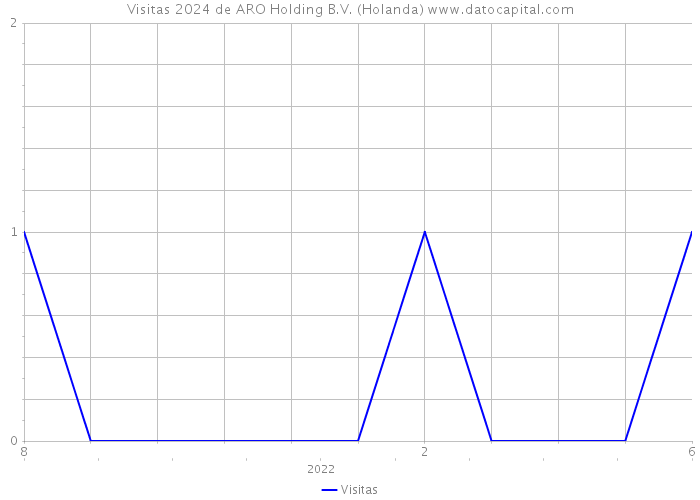 Visitas 2024 de ARO Holding B.V. (Holanda) 