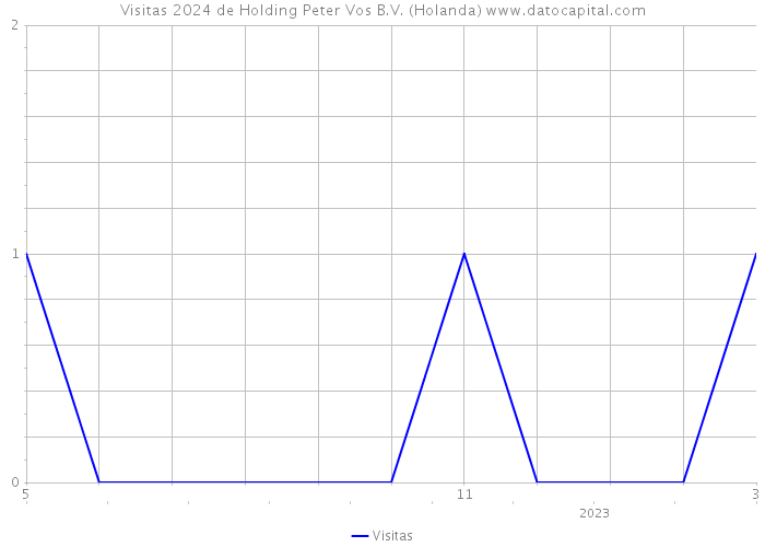 Visitas 2024 de Holding Peter Vos B.V. (Holanda) 