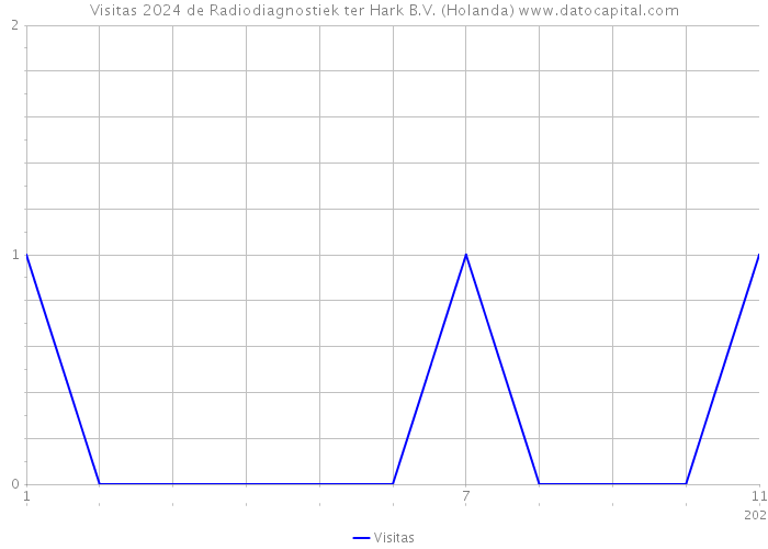 Visitas 2024 de Radiodiagnostiek ter Hark B.V. (Holanda) 