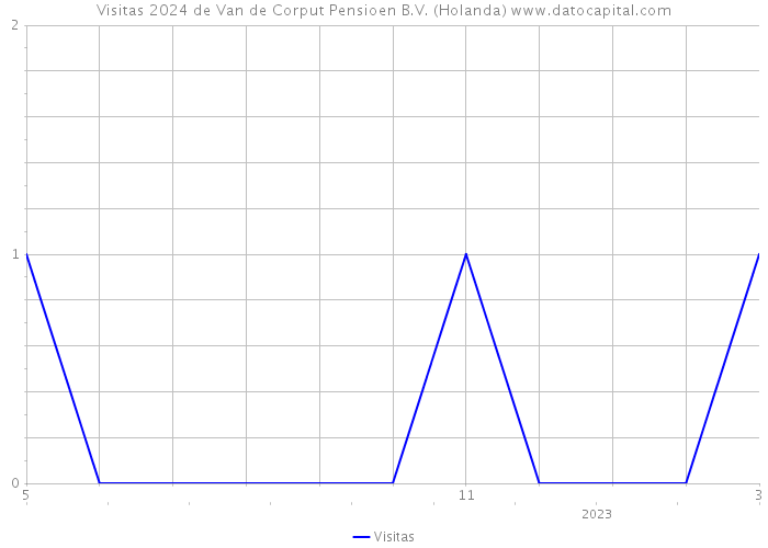 Visitas 2024 de Van de Corput Pensioen B.V. (Holanda) 
