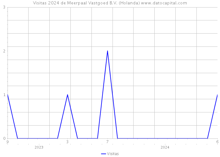 Visitas 2024 de Meerpaal Vastgoed B.V. (Holanda) 