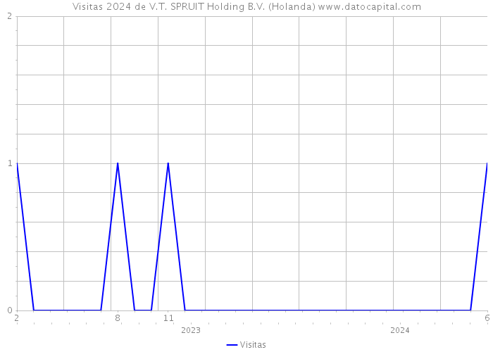 Visitas 2024 de V.T. SPRUIT Holding B.V. (Holanda) 