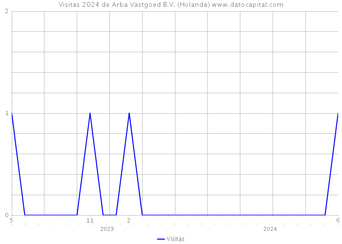 Visitas 2024 de Arba Vastgoed B.V. (Holanda) 