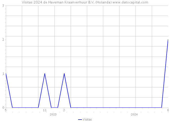 Visitas 2024 de Haveman Kraanverhuur B.V. (Holanda) 