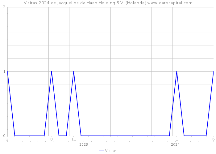 Visitas 2024 de Jacqueline de Haan Holding B.V. (Holanda) 