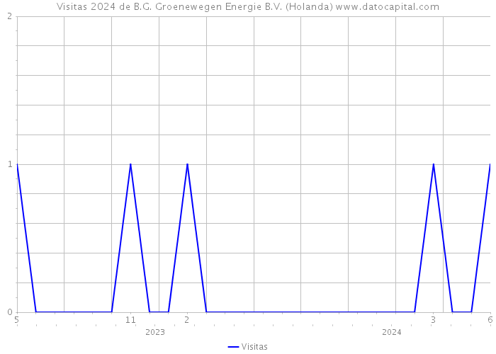 Visitas 2024 de B.G. Groenewegen Energie B.V. (Holanda) 