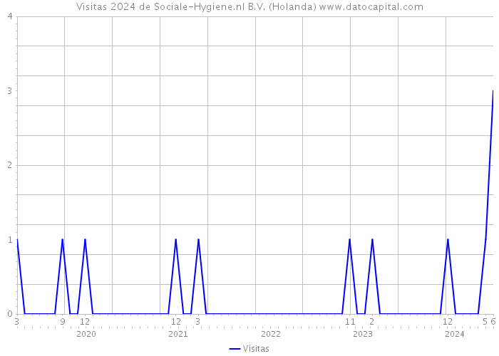 Visitas 2024 de Sociale-Hygiene.nl B.V. (Holanda) 