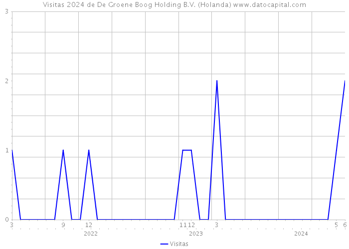 Visitas 2024 de De Groene Boog Holding B.V. (Holanda) 