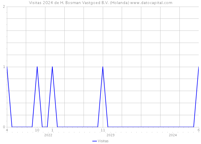 Visitas 2024 de H. Bosman Vastgoed B.V. (Holanda) 