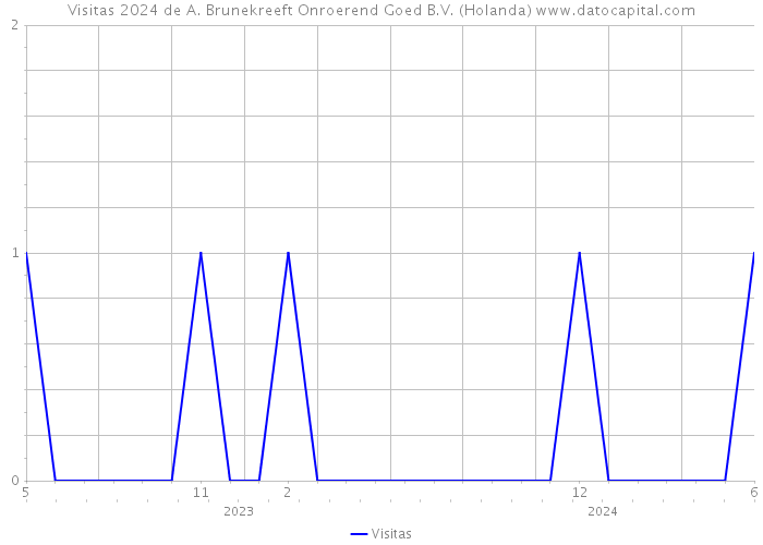 Visitas 2024 de A. Brunekreeft Onroerend Goed B.V. (Holanda) 