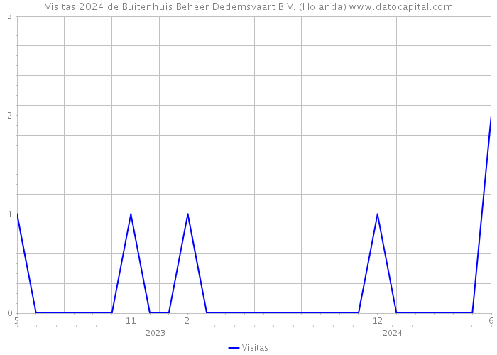 Visitas 2024 de Buitenhuis Beheer Dedemsvaart B.V. (Holanda) 