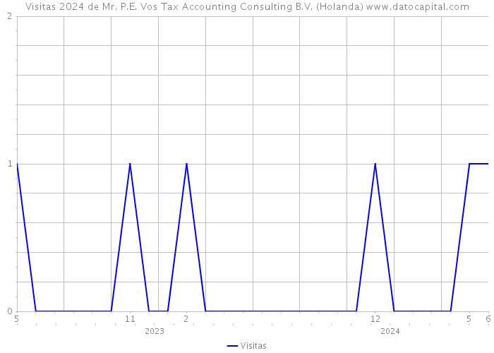 Visitas 2024 de Mr. P.E. Vos Tax Accounting Consulting B.V. (Holanda) 