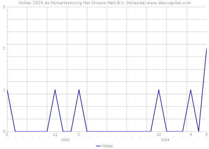 Visitas 2024 de Huisartsenzorg Het Groene Hart B.V. (Holanda) 