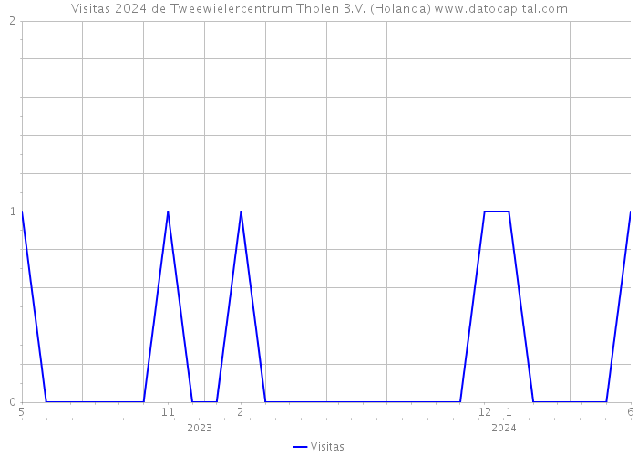 Visitas 2024 de Tweewielercentrum Tholen B.V. (Holanda) 