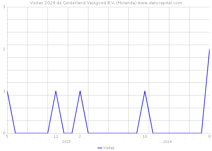 Visitas 2024 de Gelderland Vastgoed B.V. (Holanda) 