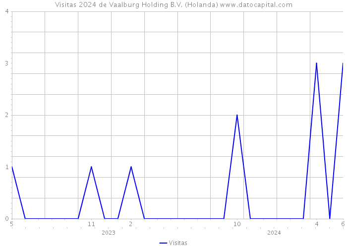 Visitas 2024 de Vaalburg Holding B.V. (Holanda) 