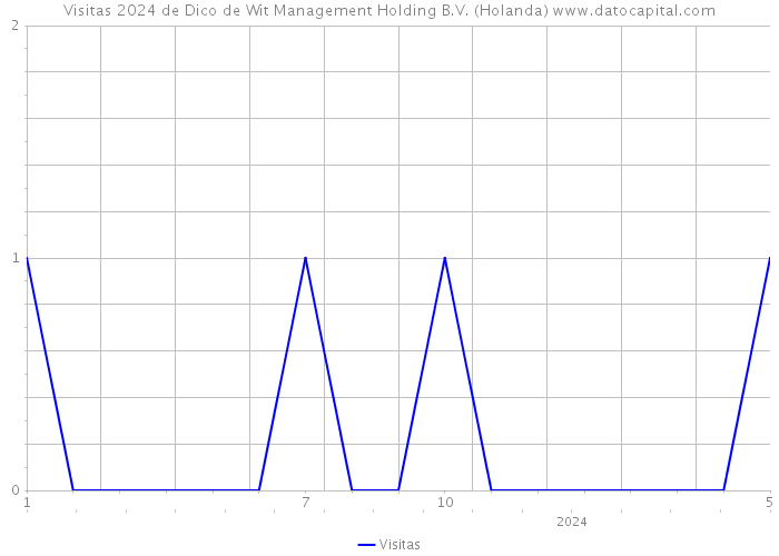 Visitas 2024 de Dico de Wit Management Holding B.V. (Holanda) 