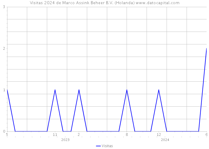 Visitas 2024 de Marco Assink Beheer B.V. (Holanda) 