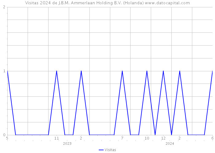Visitas 2024 de J.B.M. Ammerlaan Holding B.V. (Holanda) 