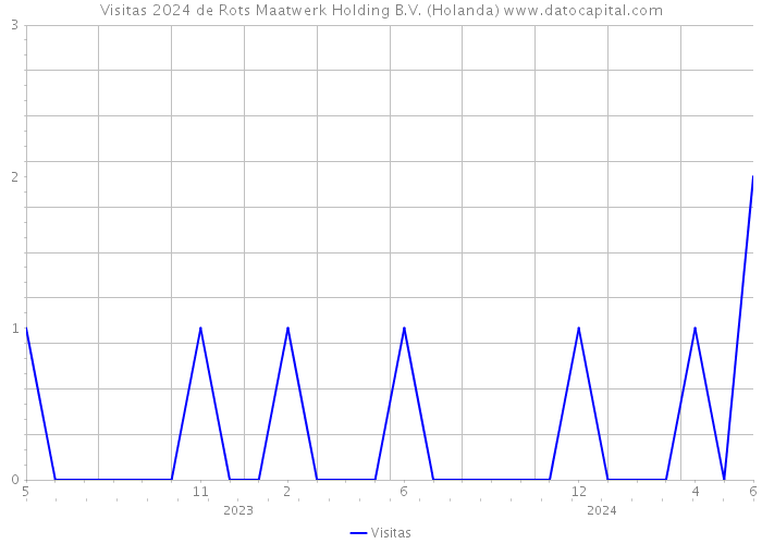 Visitas 2024 de Rots Maatwerk Holding B.V. (Holanda) 