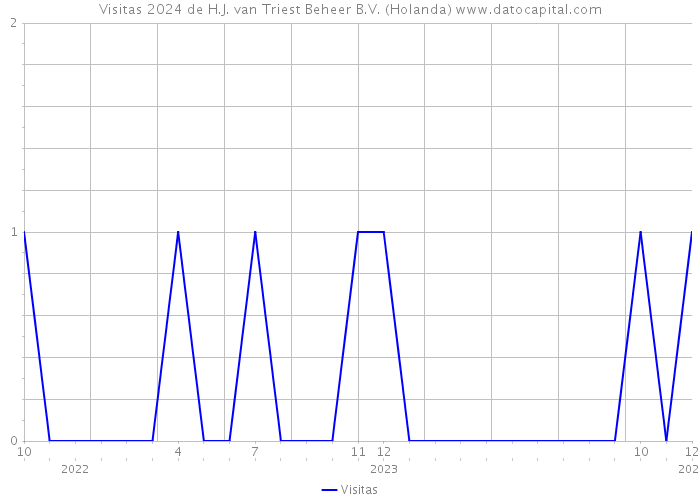 Visitas 2024 de H.J. van Triest Beheer B.V. (Holanda) 