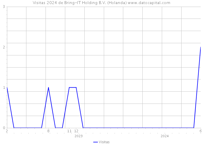 Visitas 2024 de Bring-IT Holding B.V. (Holanda) 