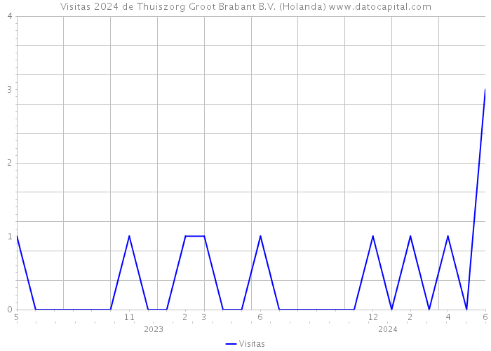 Visitas 2024 de Thuiszorg Groot Brabant B.V. (Holanda) 