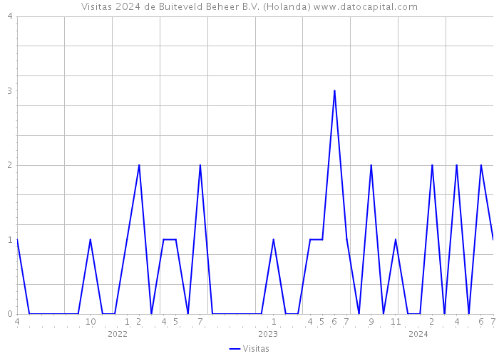 Visitas 2024 de Buiteveld Beheer B.V. (Holanda) 