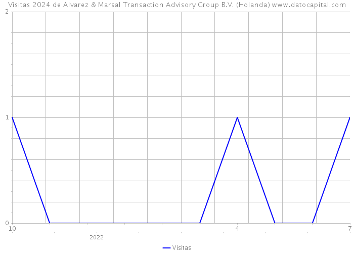 Visitas 2024 de Alvarez & Marsal Transaction Advisory Group B.V. (Holanda) 