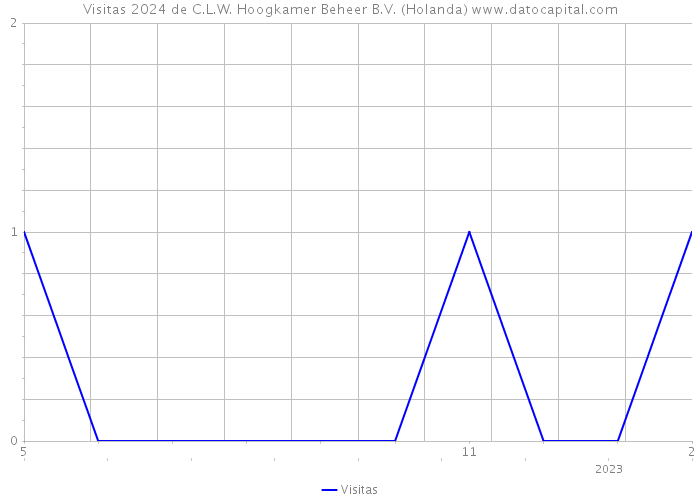 Visitas 2024 de C.L.W. Hoogkamer Beheer B.V. (Holanda) 