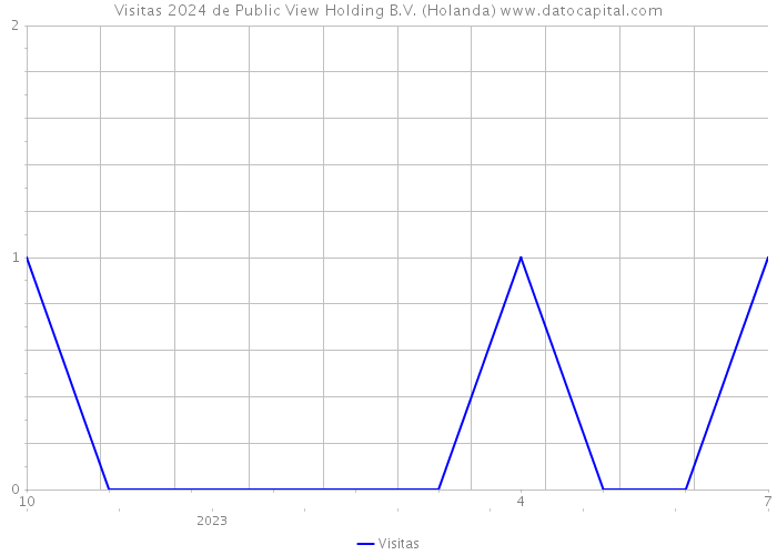 Visitas 2024 de Public View Holding B.V. (Holanda) 