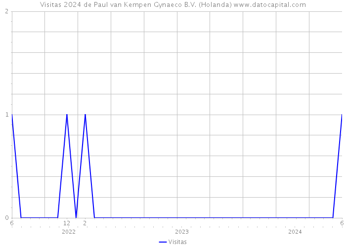 Visitas 2024 de Paul van Kempen Gynaeco B.V. (Holanda) 