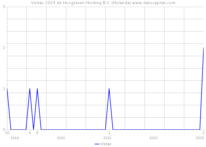 Visitas 2024 de Hoogsteen Holding B.V. (Holanda) 