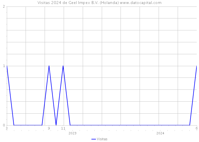 Visitas 2024 de Geel Impex B.V. (Holanda) 