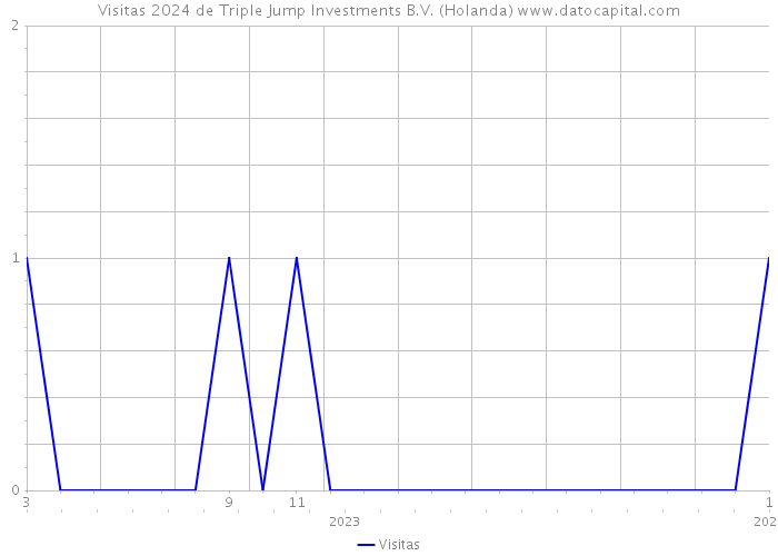 Visitas 2024 de Triple Jump Investments B.V. (Holanda) 