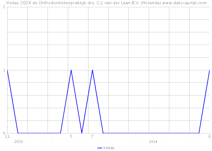 Visitas 2024 de Orthodontistenpraktijk drs. C.J. van der Laan B.V. (Holanda) 