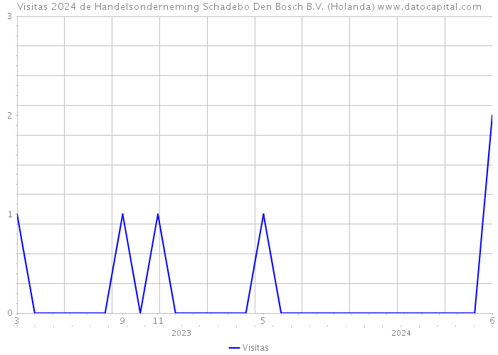 Visitas 2024 de Handelsonderneming Schadebo Den Bosch B.V. (Holanda) 